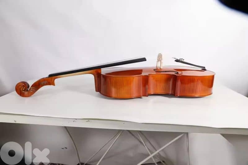 Starway Premium quality Cello 5