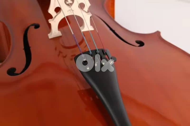 Starway Premium quality Cello 6