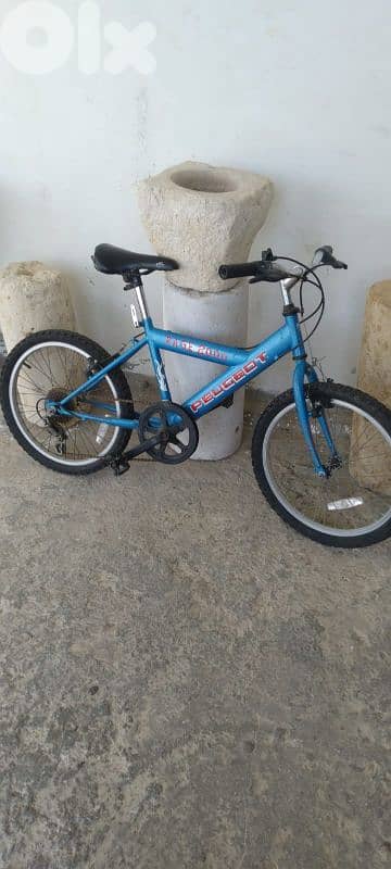2 Bicycles 2