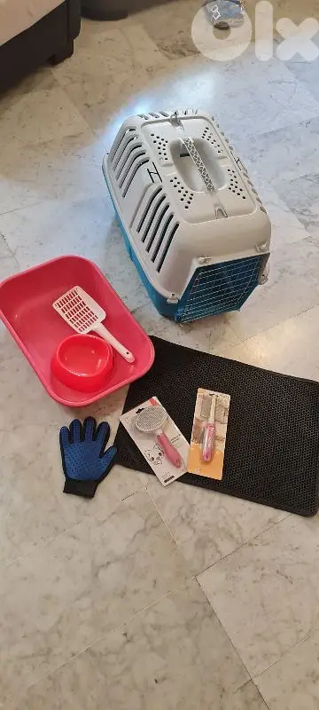 cat accessories