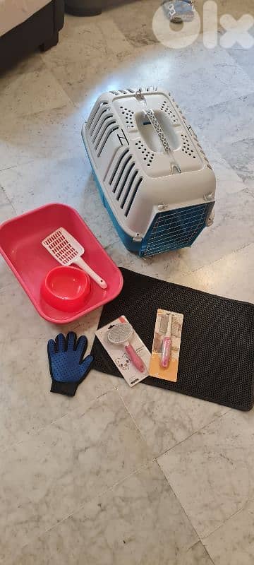 cat accessories 0