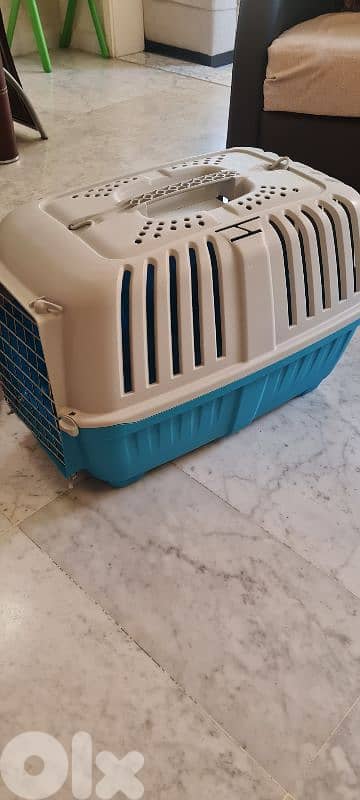 cat accessories 1