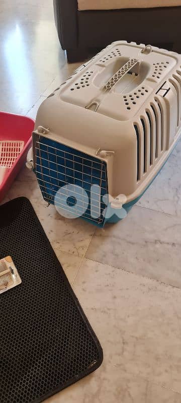 cat accessories 2
