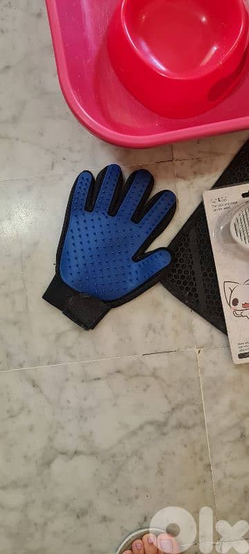 cat accessories 3