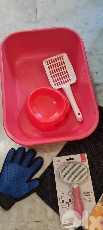 cat accessories 4