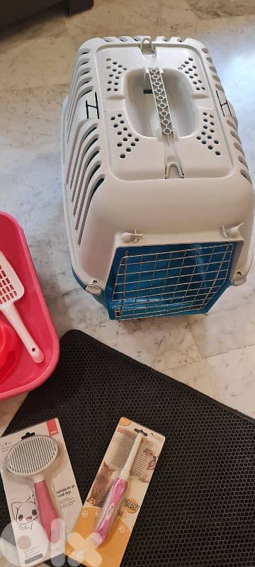 cat accessories 5