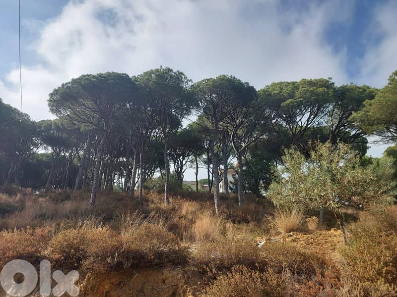 Land for sale in Ghabe Masqa Broumana 3