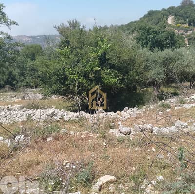 Land for sale in Zeaitre RK175 أرض للبيع في زعيتره