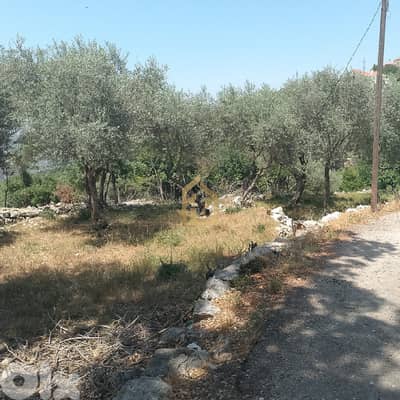 Land for sale in Zeaitre RK175 أرض للبيع في زعيتره