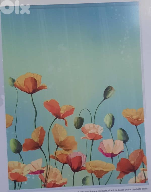 Roll ups curtains 1