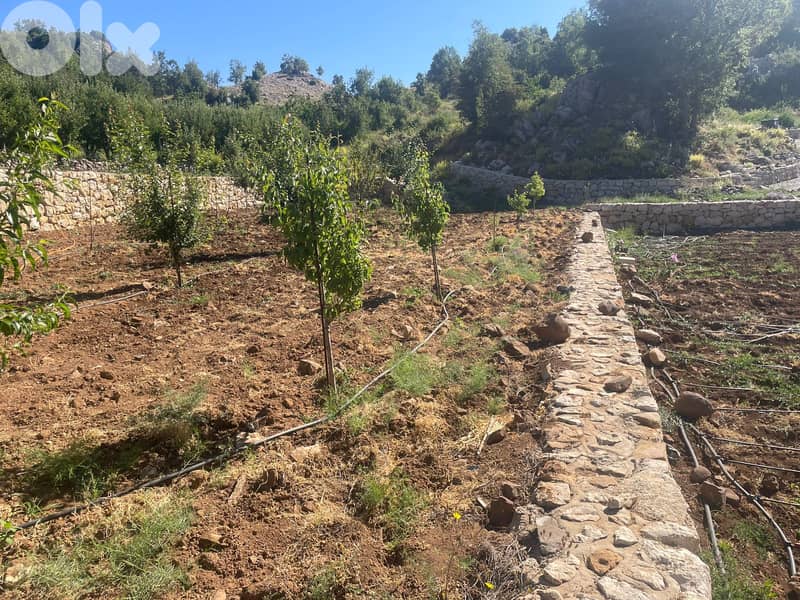 RWB172PK - Land with a core and shell for sale in Laklouk Jbeil 1