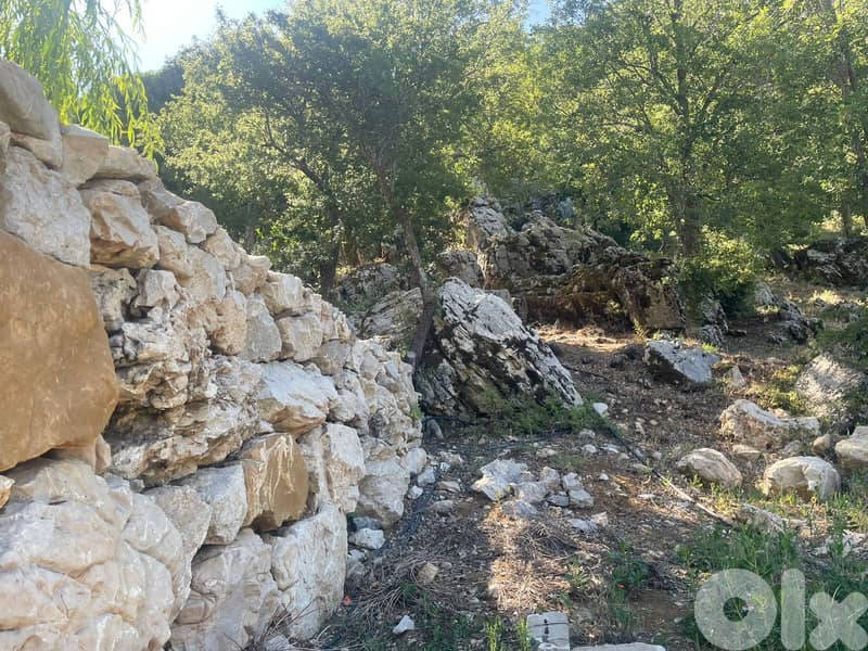 RWB172PK - Land with a core and shell for sale in Laklouk Jbeil 6