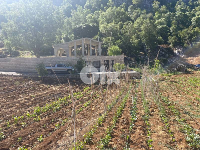 RWB172PK - Land with a core and shell for sale in Laklouk Jbeil 11