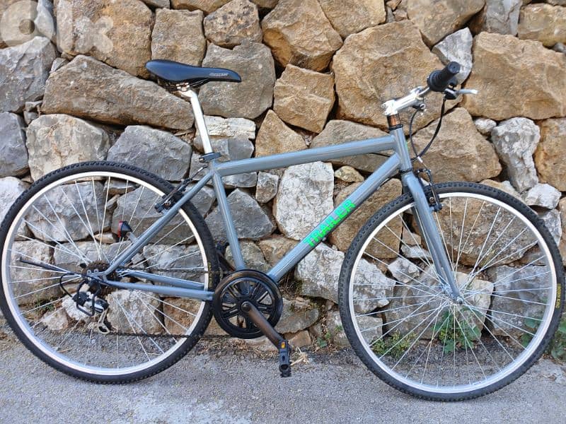 Trailer bike 28 2