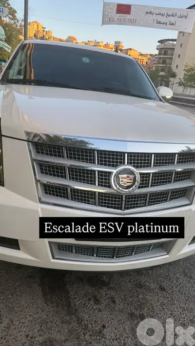 100 dollar per day. 7 SEATER.