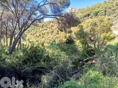 2126m2 land+sea view 4sale in Batroun/Kfarchleimanأرض للبيع في البترون