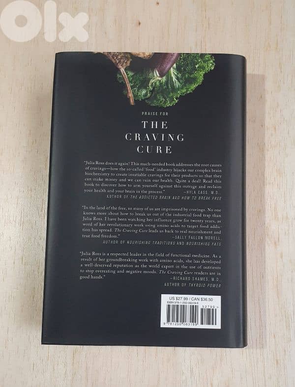 The Craving Cure Book 1