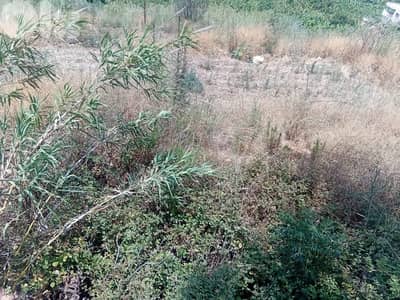 RWB136EG - Land for sale in Halat Jbeil