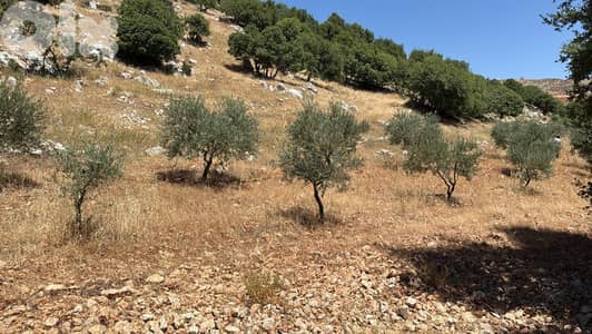 3045 Sqm | Land for sale in Kawkaba | أرض للبيع في راشيا / كوكبا