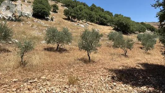 3045 Sqm | Land for sale in Kawkaba | أرض للبيع في راشيا / كوكبا