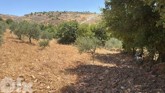 3045 Sqm | Land for sale in Kawkaba | أرض للبيع في راشيا / كوكبا