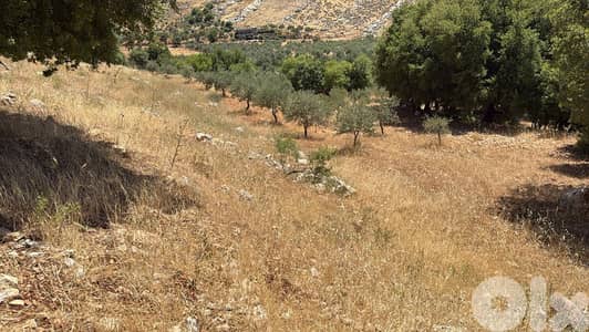 3045 Sqm | Land for sale in Kawkaba | أرض للبيع في راشيا / كوكبا