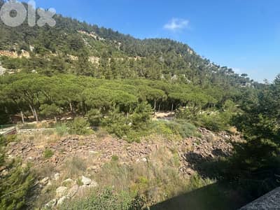 13750 Sqm Land For Sale In Jouret El Ballout ارض للبيع في جورة البلوط 13750 Sqm Land For Sale In Jouret El Ballout ارض للبيع في جورة البلوط