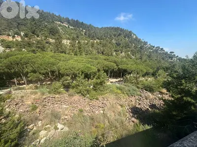 13750 Sqm Land For Sale In Jouret El Ballout ارض للبيع في جورة البلوط