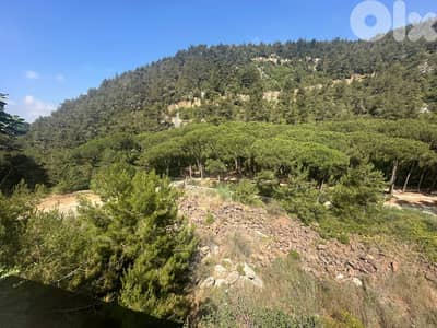 13750 Sqm Land For Sale In Jouret El Ballout ارض للبيع في جورة البلوط 13750 Sqm Land For Sale In Jouret El Ballout ارض للبيع في جورة البلوط