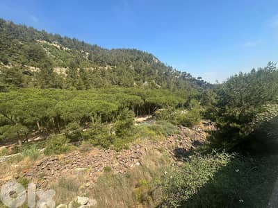 13750 Sqm Land For Sale In Jouret El Ballout ارض للبيع في جورة البلوط 13750 Sqm Land For Sale In Jouret El Ballout ارض للبيع في جورة البلوط