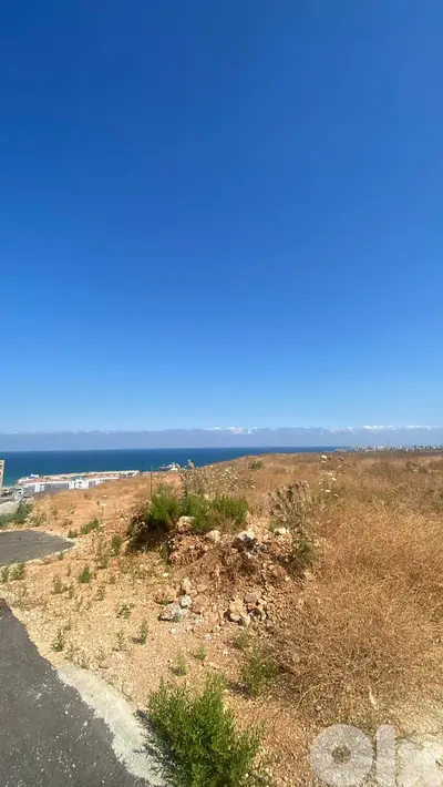 2 Lands for sale in Tripoli - قطعتا أرض للبيع في طرابلس