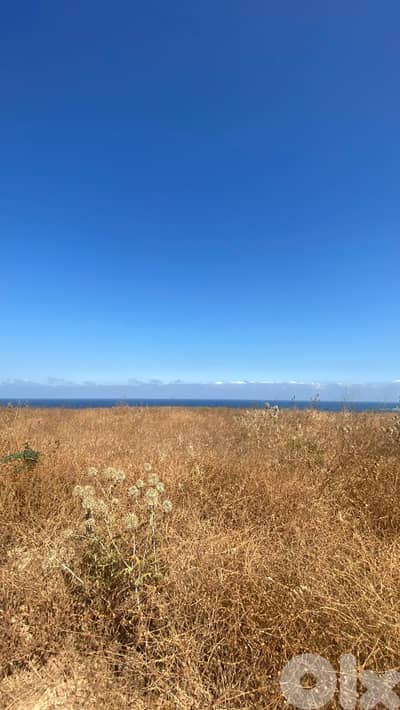 2 Lands for sale in Tripoli - قطعتا أرض للبيع في طرابلس