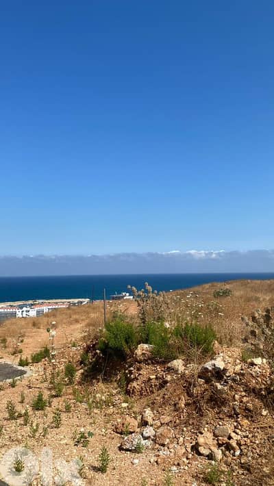 2 Lands for sale in Tripoli - قطعتا أرض للبيع في طرابلس