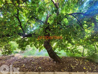 Land 1200sqm with an old house 150sqm for sale in Hrajel - CPKRH21