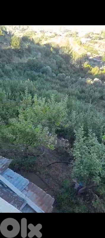 أرض للبيع في مشغرة عين التينه البقاع الغربي land for sale in beqaa