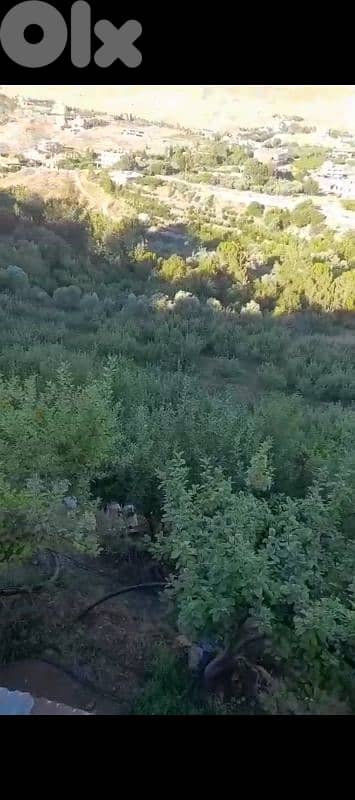 أرض للبيع في مشغرة عين التينه البقاع الغربي land for sale in beqaa