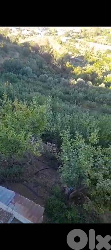 أرض للبيع في مشغرة عين التينه البقاع الغربي land for sale in beqaa