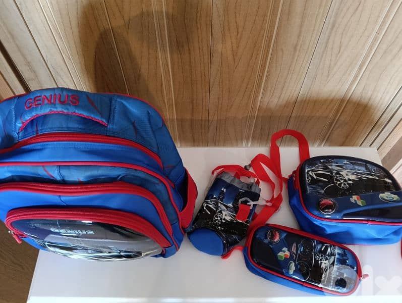 genius bag set of 4 clean like new 43 cm 1