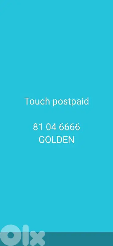 touch Golden 81 04 6666