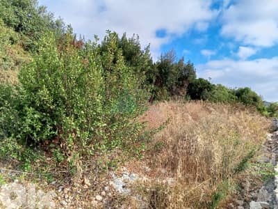 1213m2 Land+sea view for sale in Kfarabida/Batroun - ارض في البترون