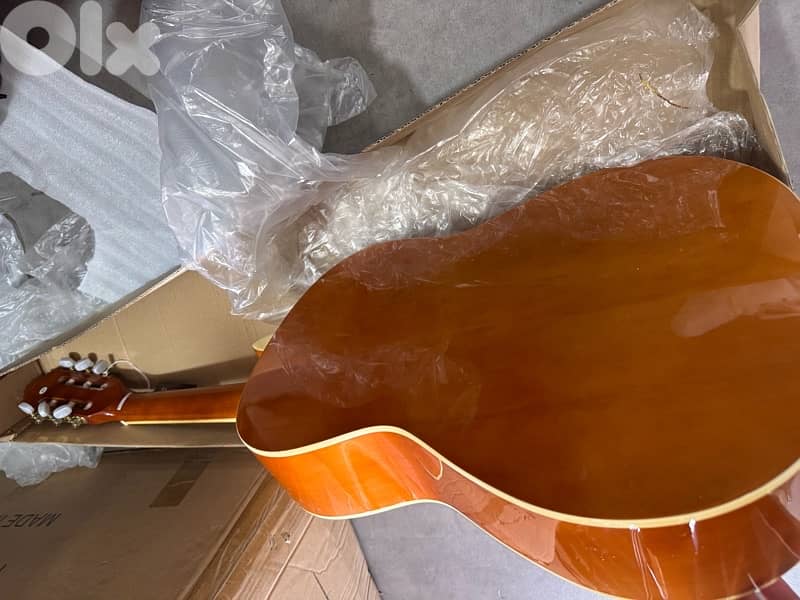 Guitar rodriguez 1