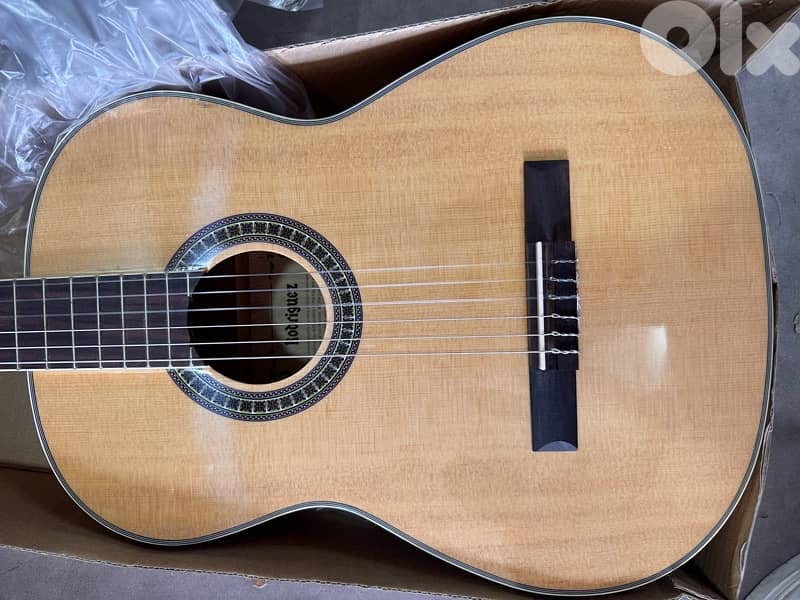 Guitar rodriguez 2