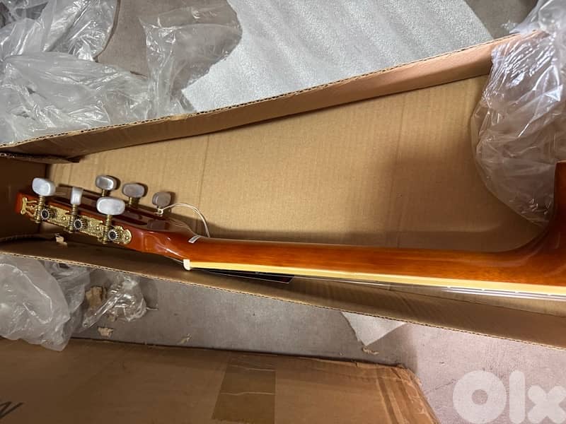 Guitar rodriguez 3