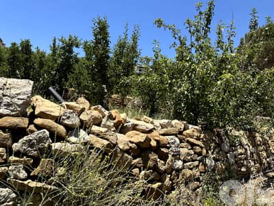 RWK103DZ - Land For Sale In Faraya - أرض للبيع في فاريا