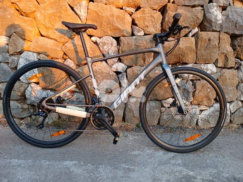 Giant FastRoad 2 0