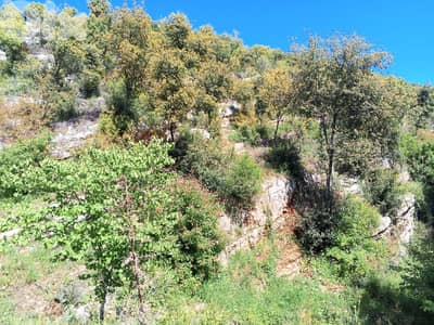 4292m2 land+ountain/sea view 4sale in Kfarchleiman-أرض في كفرشليمان