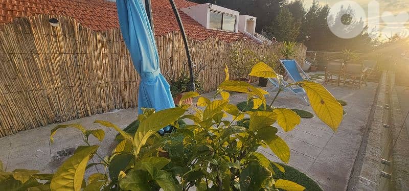 Apartment Daily Weekly Rent in Adma Fully Furnished 11