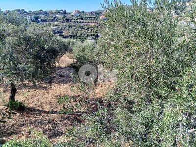 2056m2 Land+mountain view 4 sale in Batroun - أرض للبيع في البترون