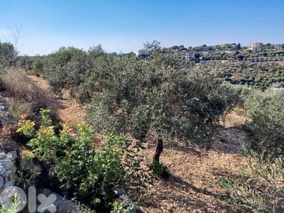 2056m2 Land+mountain view 4 sale in Batroun - أرض للبيع في البترون