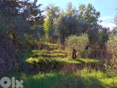 Land for sale in Salima/ Open view